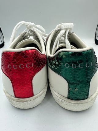 Gucci sneakers classic