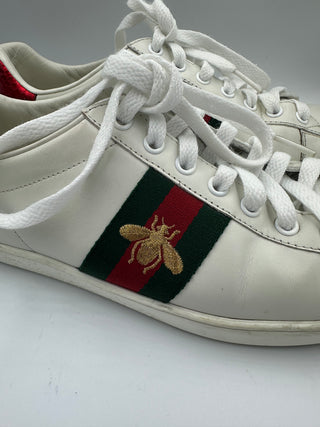 Gucci sneakers classic