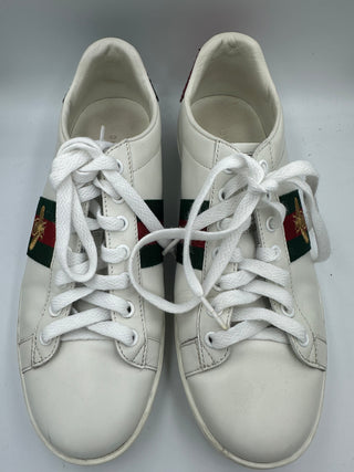 Gucci sneakers classic