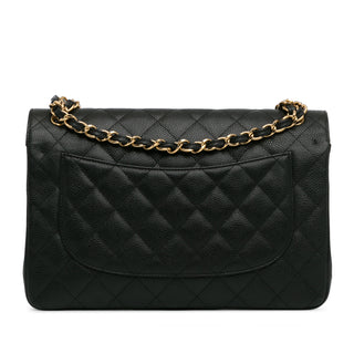 Chanel Jumbo Classic Caviar Double Flap