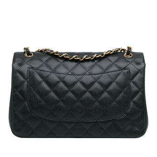 Chanel Jumbo Classic Caviar Double Flap