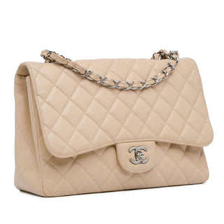 Chanel Jumbo Classic Caviar Single Flap Bag